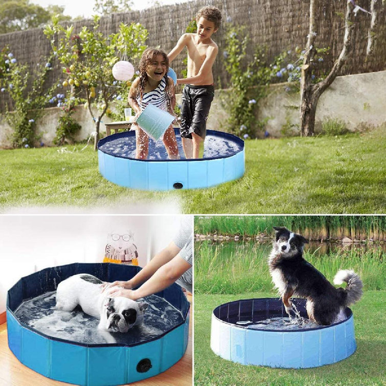 small wading pool for dogs